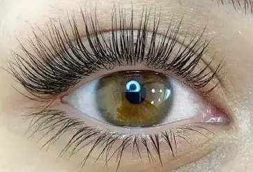 Lash Lifting nachher Beispiel 1