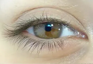 Lash Lifting vorher Beispiel 1